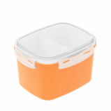 Airtight Food Containers _ 2_Compartment Container